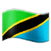 🇹🇿 flag: Tanzania display on Samsung